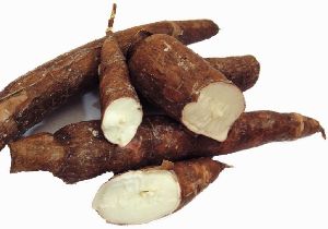 Cassava