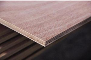 Okoume Plywood