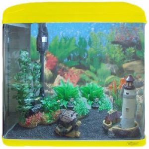 glass fish aquarium