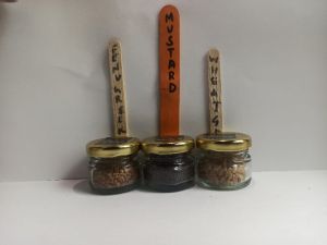 Microgreen kit