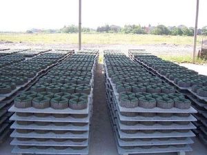 Paver Block Pallet