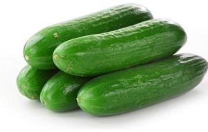 Fresh Cucumber