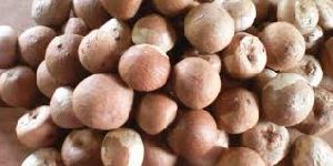 Old Variety Arecanuts