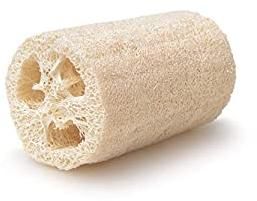 Loofah sponge