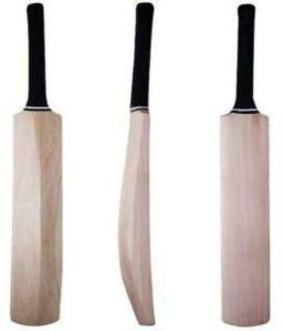 Popular Willow Cricket Bat