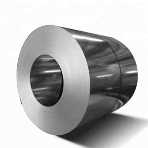 Stainless Steel Coils