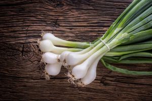 Scallion Onion