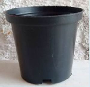 6 Inch Nursery Pot