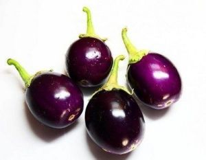 Fresh Brinjal