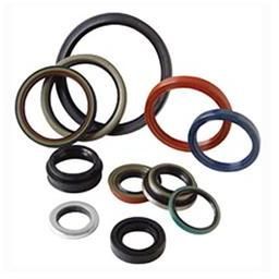 Oil Seal