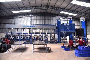 Kaju Processing Machinery