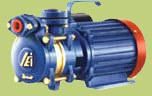 Monobloc Pumps