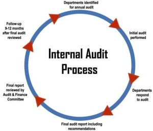 Internal Audit & Control Review Services