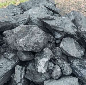 MAGADH COAL