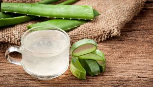 Aloe Vera Liquid Extract