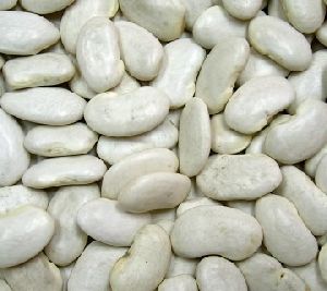 Surti Papdi Beans Seeds