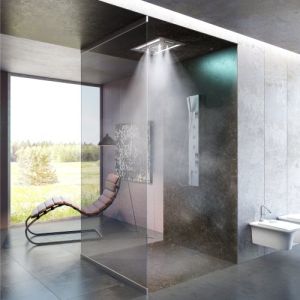 Multifunction Rain Shower