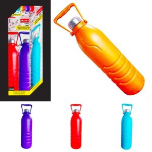 Insulated Fancy Water Bottle