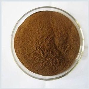 Vitex Agnus extract