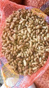 Groundnuts