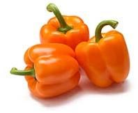 Fresh Orange Capsicum