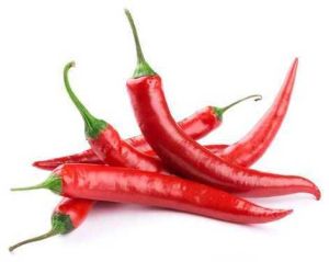 fresh red chili pepper