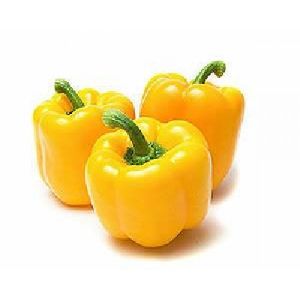 Fresh Yellow Capsicum