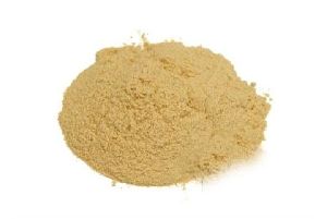 Shatavari Powder