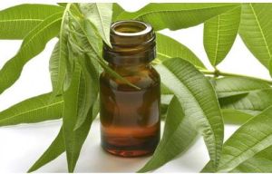 Citronella Essential Oil