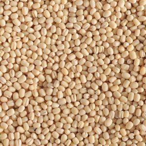 Whole Washed Black Gram/Urad Dal