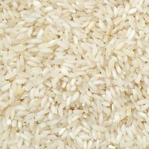 Short Grain Basmati Rice