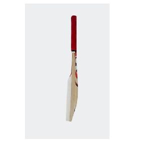 Cricket SG Catch Bat