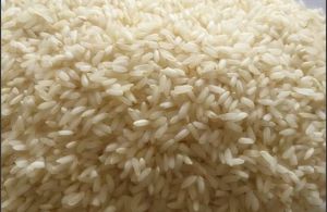 IR 64 Raw Rice