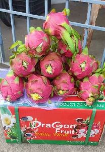 Fresh Dragon Fruits