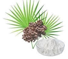 Saw Palmetto Extract