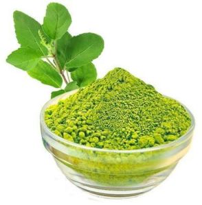 Tulsi Powder Extract (Ocimum Sanctum)