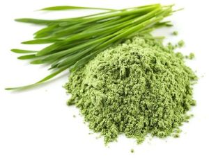 Wheat Grass Powder