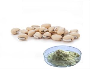 White Kidney Bean Extract Phaseolus Vulgaris