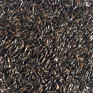 Niger Seeds