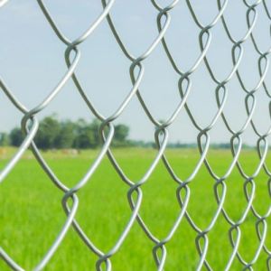 Chain Link Fence