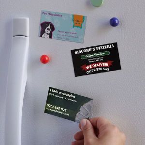 Fridge Magnets