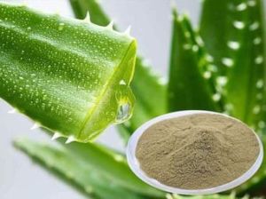 Aloe Vera Powder