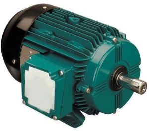 Crompton Greaves Electric Motor