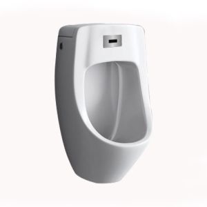 Wall Mounted Urinals