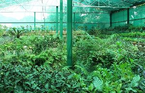 Agro Shade Nets