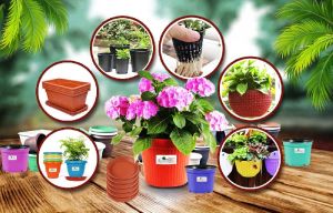 Garden Pots & Trays