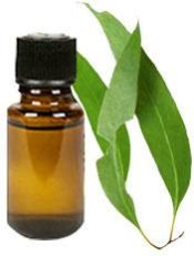 Nilgiri Essential Oil