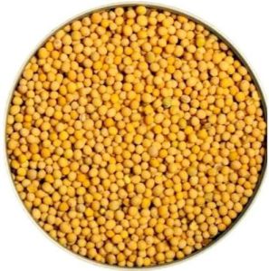 Yellow Mustard Seeds