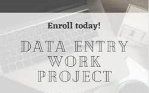 Non voice data entry projects