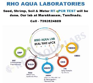 RT-qPCR Testing Details are EHP, WSSV, IHHNV, EMS, Vibrio,.etc.